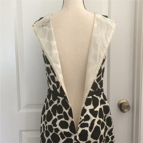 Loft Printed Dress - Picture 11 of 11